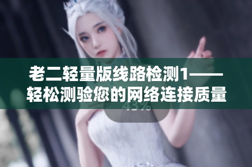 老二轻量版线路检测1——轻松测验您的网络连接质量