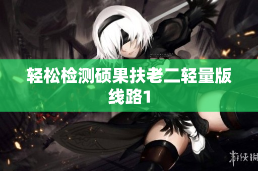 轻松检测硕果扶老二轻量版线路1