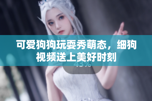 可爱狗狗玩耍秀萌态，细狗视频送上美好时刻