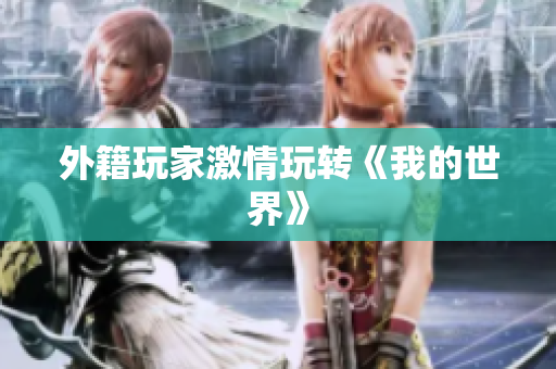 外籍玩家激情玩转《我的世界》
