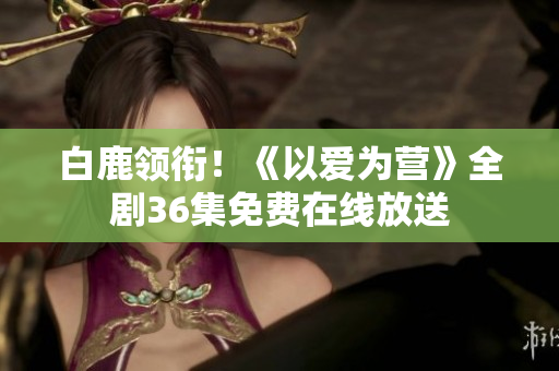 白鹿领衔！《以爱为营》全剧36集免费在线放送