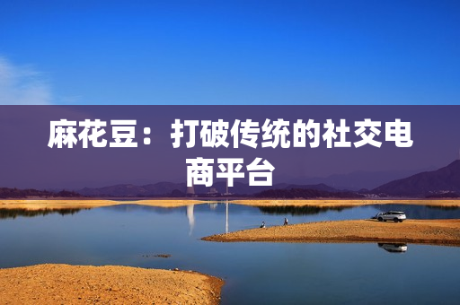 麻花豆：打破传统的社交电商平台