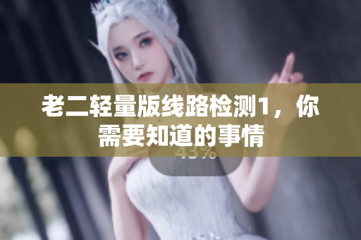 老二轻量版线路检测1，你需要知道的事情