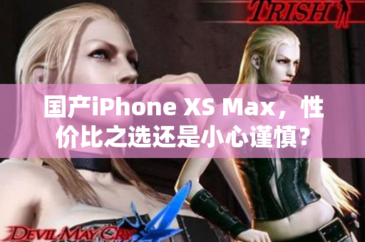 国产iPhone XS Max，性价比之选还是小心谨慎？