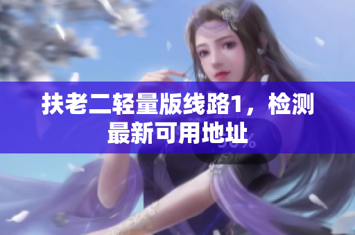 扶老二轻量版线路1，检测最新可用地址