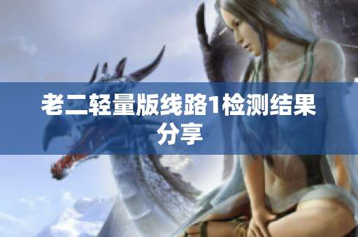 老二轻量版线路1检测结果分享