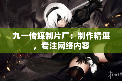 九一传媒制片厂：制作精湛，专注网络内容