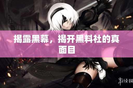 揭露黑幕，揭开黑料社的真面目