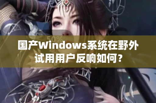 国产Windows系统在野外试用用户反响如何？