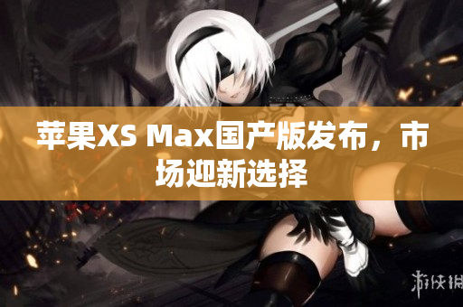 苹果XS Max国产版发布，市场迎新选择