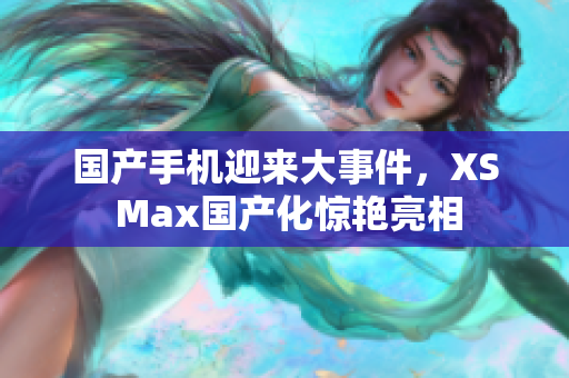 国产手机迎来大事件，XS Max国产化惊艳亮相