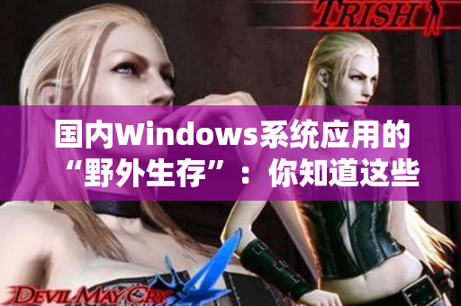 国内Windows系统应用的“野外生存”：你知道这些技巧吗？