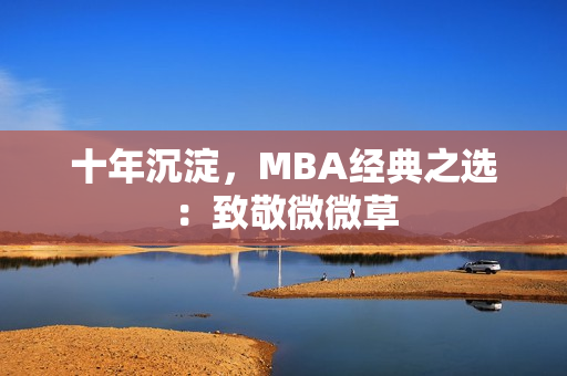 十年沉淀，MBA经典之选：致敬微微草