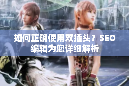 如何正确使用双插头？SEO编辑为您详细解析
