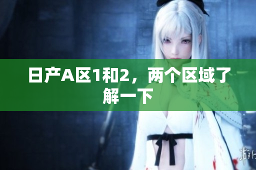 日产A区1和2，两个区域了解一下