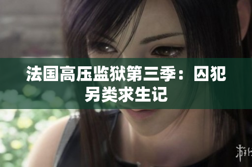 法国高压监狱第三季：囚犯另类求生记