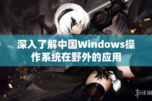 深入了解中国Windows操作系统在野外的应用
