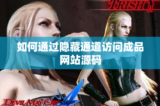 如何通过隐藏通道访问成品网站源码