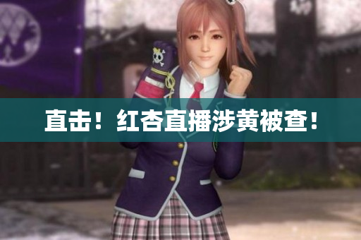 直击！红杏直播涉黄被查！