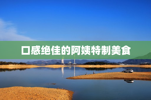口感绝佳的阿姨特制美食