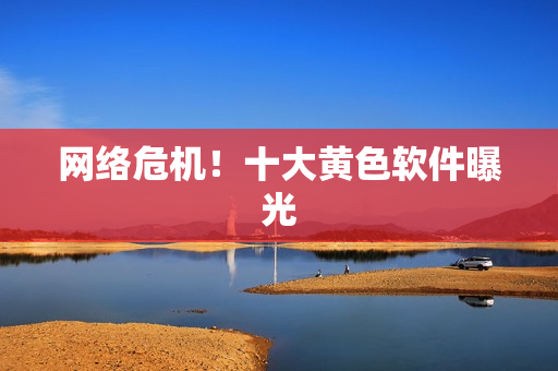 网络危机！十大黄色软件曝光