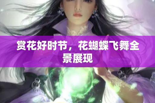 赏花好时节，花蝴蝶飞舞全景展现