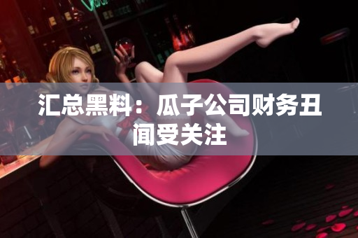 汇总黑料：瓜子公司财务丑闻受关注