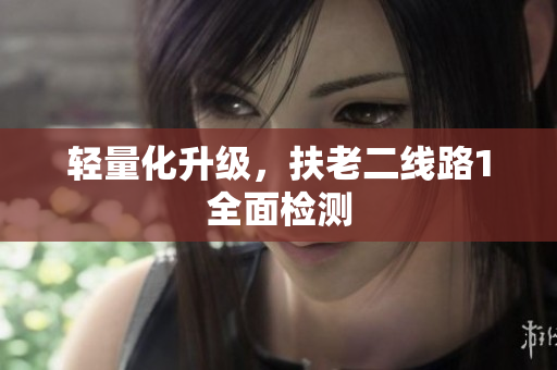 轻量化升级，扶老二线路1全面检测