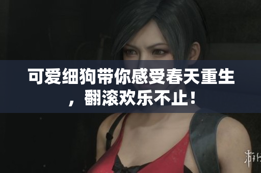 可爱细狗带你感受春天重生，翻滚欢乐不止！