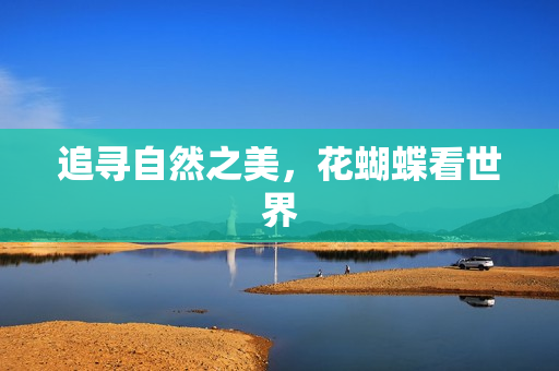 追寻自然之美，花蝴蝶看世界