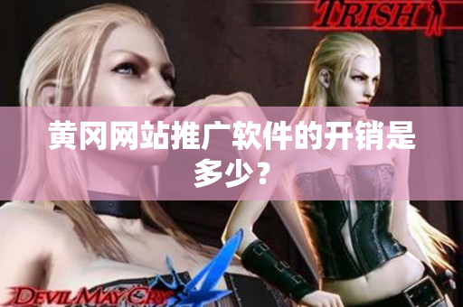 黄冈网站推广软件的开销是多少？