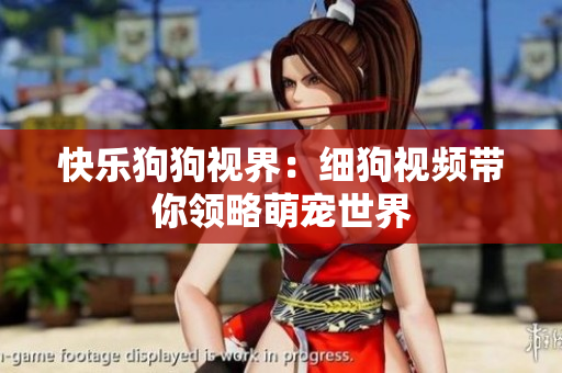 快乐狗狗视界：细狗视频带你领略萌宠世界
