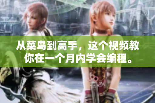 从菜鸟到高手，这个视频教你在一个月内学会编程。