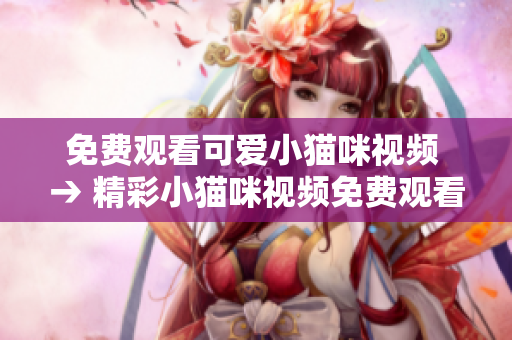 免费观看可爱小猫咪视频 → 精彩小猫咪视频免费观看