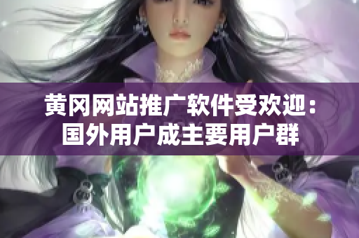 黄冈网站推广软件受欢迎：国外用户成主要用户群