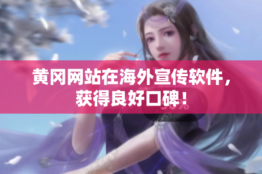 黄冈网站在海外宣传软件，获得良好口碑！