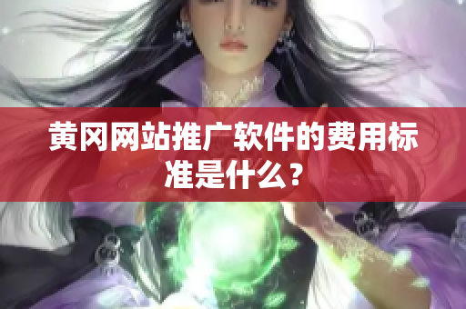 黄冈网站推广软件的费用标准是什么？