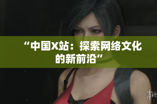 “中国X站：探索网络文化的新前沿”