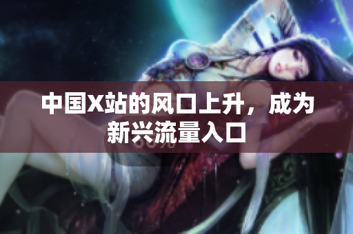中国X站的风口上升，成为新兴流量入口