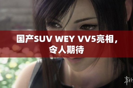 国产SUV WEY VV5亮相，令人期待
