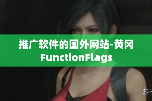 推广软件的国外网站-黄冈FunctionFlags