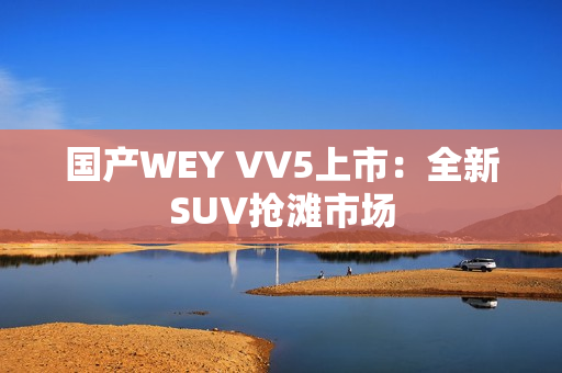 国产WEY VV5上市：全新SUV抢滩市场
