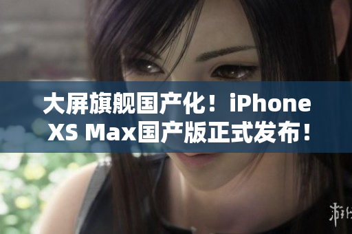 大屏旗舰国产化！iPhone XS Max国产版正式发布！