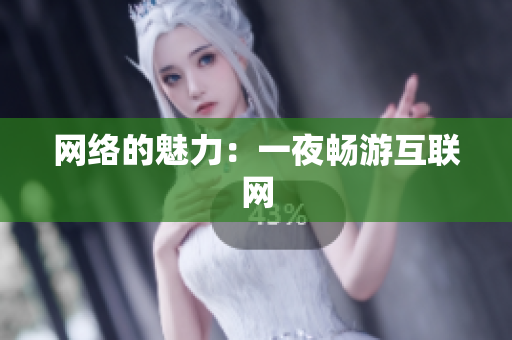 网络的魅力：一夜畅游互联网