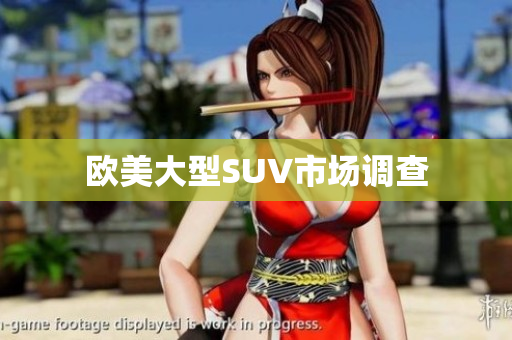 欧美大型SUV市场调查