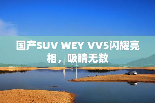 国产SUV WEY VV5闪耀亮相，吸睛无数