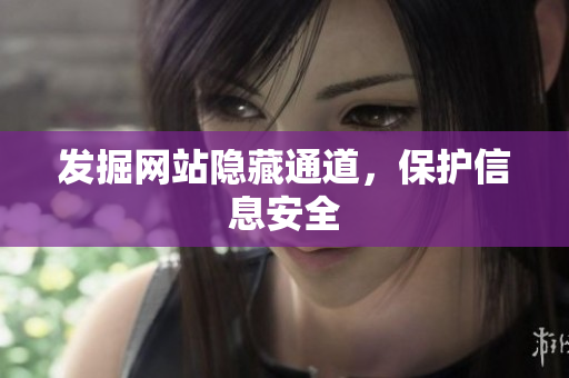 发掘网站隐藏通道，保护信息安全