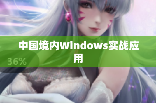 中国境内Windows实战应用