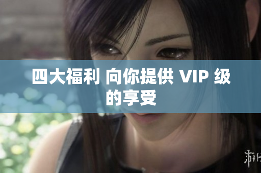 四大福利 向你提供 VIP 级的享受