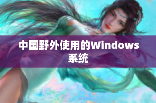 中国野外使用的Windows系统